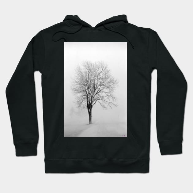 Skeletal Tree in a Winter Storm Hoodie by BrianPShaw